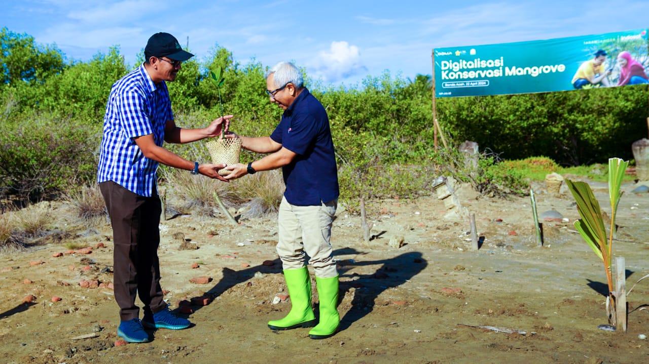 Indosat Ooredoo Hutchison Optimalkan Teknologi Untuk Konservasi  Mangrove di Aceh