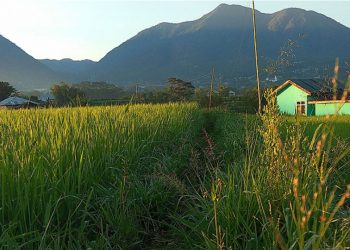 Antisipasi Pelemahan Ekonomi Akibat Corona, Belanja Ini Dipercepat Pemerintah