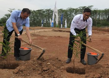 Bantuan Penghijauan BTN