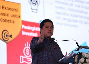 Pengembangan SDM PMMB