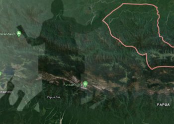 Kisruh Politik Calon Anggota DPRD Puncak Jaya, Wabup Akan Kawal hingga Kelar