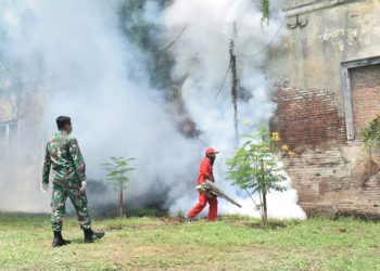 Pembersihan Kelelawar di Benteng Van Den Bosch