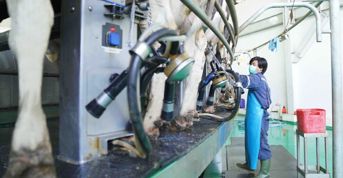 Penerapan Social Distancing di Pabrik Greenfields