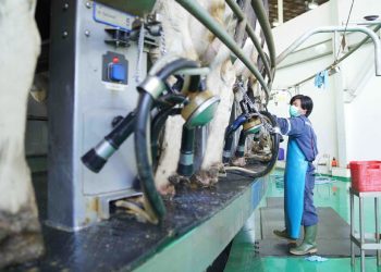 Penerapan Social Distancing di Pabrik Greenfields