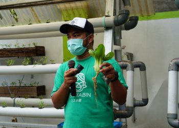 Jamkrindo Berikan Pelatihan Budidaya Holtikultura