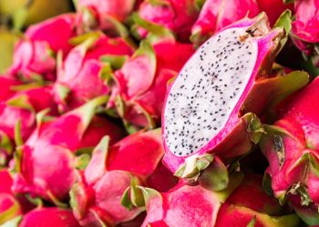 Buah Naga Indonesia Siap Ekspor Perdana ke China