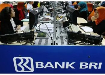 BRI Ventures Menjadi Pionir Dana Ventura UMKM Rintisan Digital