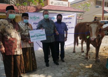 Penyerahan Sapi Kurban Mandiri