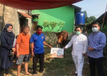 Jamkrindo Salurkan Hewan Kurban