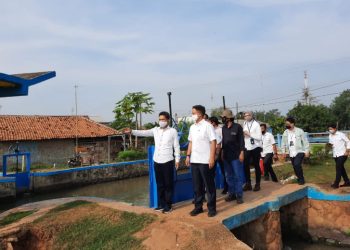 Wakil Menteri BUMN I Kunjungi Pilot Project Food Estate Sukamandi yang Di Garap BUMN Klaster Pangan