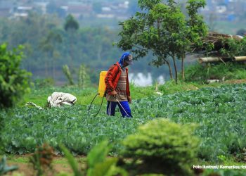 Pemda Diharapkan Lebih Kreatif Kelola Ekonomi di Masa Pandemi