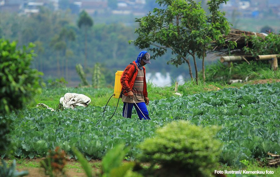 Pemda Diharapkan Lebih Kreatif Kelola Ekonomi di Masa Pandemi