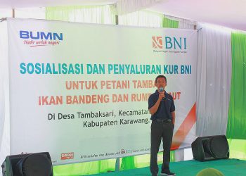 Harapan Baru Petani Tambak Bandeng Karawang Lewat KUR BNI
