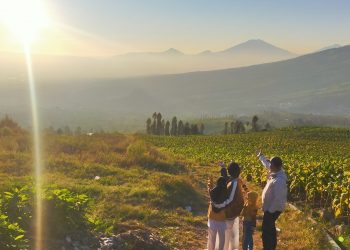Pemerintah Siap Guyur Diskon Paket Perjalanan Wisata
