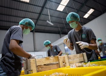 Raih Berbagai Sertifikasi, TaniHub Group Buktikan Keseriusan dalam Pelayanan Pertanian Indonesia