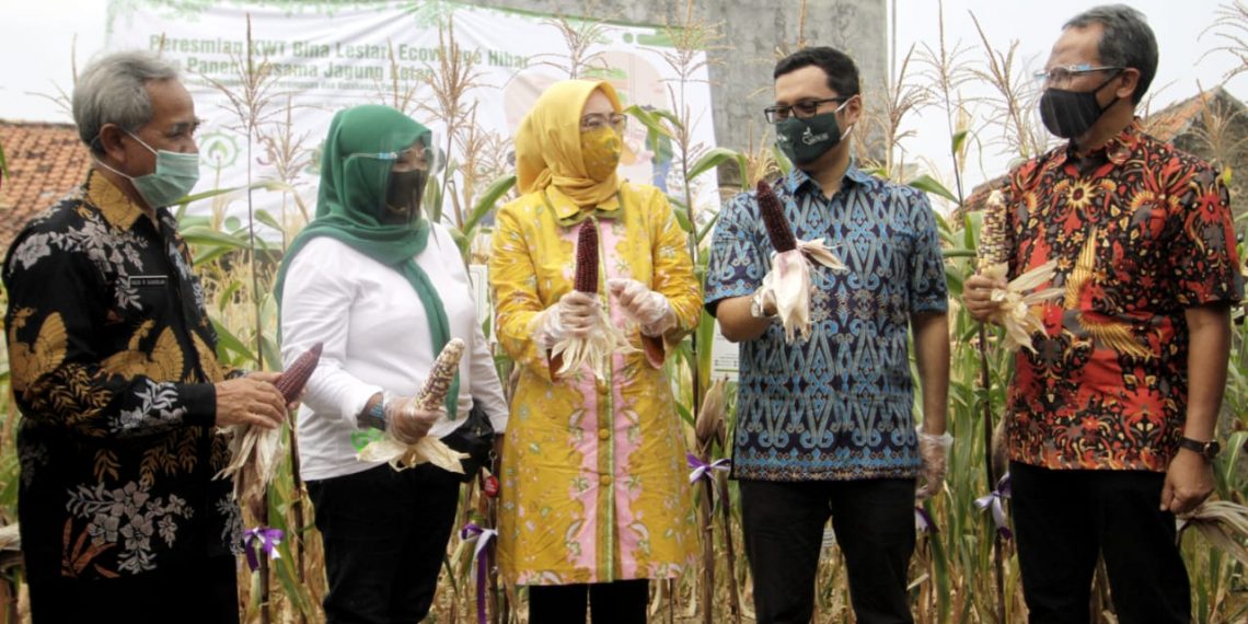 Giat Pertanian Perkotaan