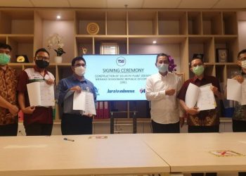 Sinergi Tiga BUMN, Indonesia Berhasil Ekspor PLTS 200MWp ke Afrika