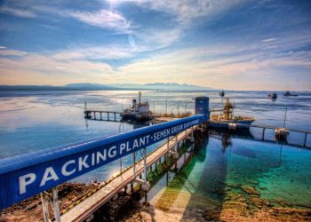 Semen Gresik Suplai 150.000 Ton untuk Kereta Cepat Jakarta-Bandung