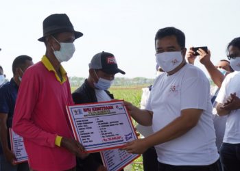PT PG Rajawali II Bagikan SHU Kepada Petani Mitra dan 1800 Kepala Keluarga