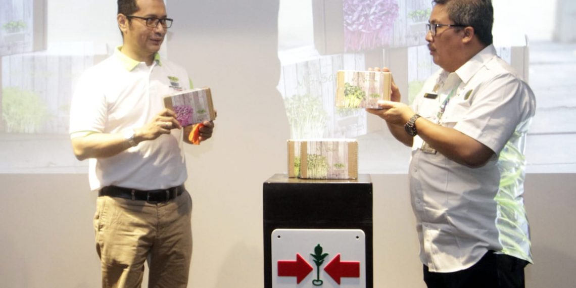 Peluncuran Microgreens Kit Ewindo