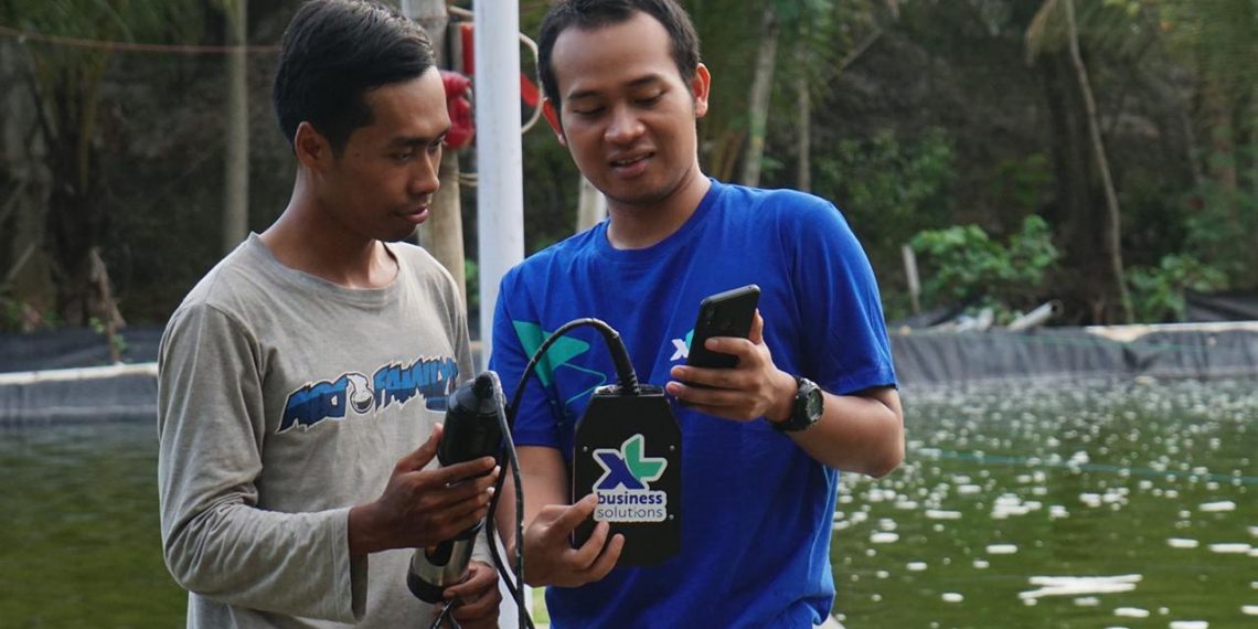 XL Smart Aquaculture, Solusi IoT untuk Petani Tambak Ikan dan Udang