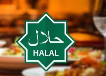 Dorong Industri Halal Nasional Mendunia, Pemerintah Genjot Digitalisasi UMKM