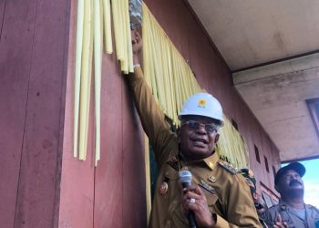 Enam Desa di Mimika Dapat Kado Natal Aliran Listrik PLN