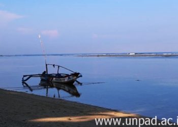 Hari Nusantara 2020, Visi Indonesia Sebagai Poros Maritim Dunia Tak Terdengar Lagi