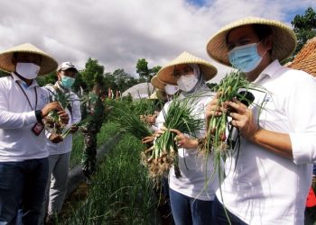 Bupati Purwakarta Minta Kaum Milenial Digarap Serius untuk Pengembangan Urban Farming