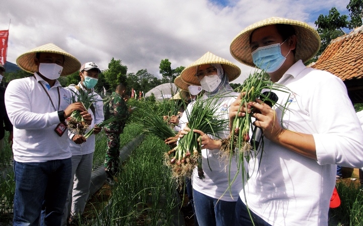 Bupati Purwakarta Minta Kaum Milenial Digarap Serius untuk Pengembangan Urban Farming