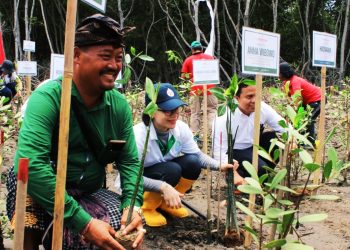 PT Mowilex Perbarui Sertifikasi Netral Karbon, Diklaim Bakal Lindungi 65.000 Hektar Hutan