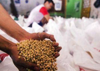 Kemendag Jamin Tahu dan Tempe Tetap Tersedia di Masyarakat