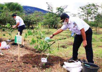 KAI Tanam 18.000 Bibit Pohon Dukung Program Sabuk Gunung Temanggung