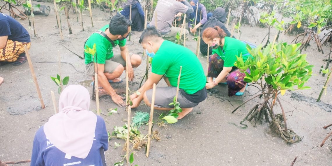 Tanam 500 Mangrove di Pesisir Marunda, ASTON Priority Simatupang Lanjutkan Komitmen Sejuta Pohon