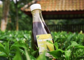 Teh Manten, Teh Asli Gucialit PTPN XII Sudah Punya Pelanggan Tetap Hingga Bali