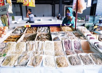 Pencairan Dana KUR di Sektor Kelautan dan Perikanan Naik 55,8% Mencapai Rp 5,2 Triliun