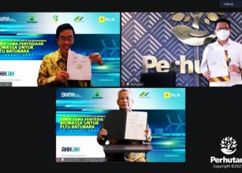 Perhutani, PTPN III, dan PLN: Sinergi Strategis Tiga BUMN Utama Untuk Penyediaan Biomassa