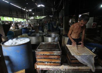 Harga Kedelai Melonjak