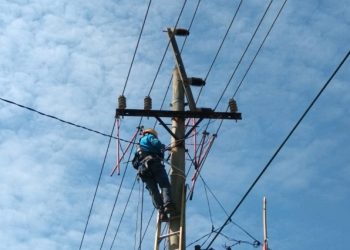 PLN Dapatkan Pembiayaan dari AIIB Untuk Membangun Jaringan Distribusi