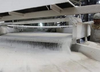 Aneh! Pabrik Gula di RI Nambah Tapi Produksi Gula Malah Turun