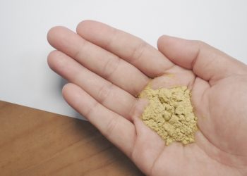 Tanpa MSG Kaldu Organik Ini Dapat Meningkatkan Selera Makan Anak