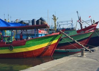 Perum Perindo dan Perinus Bersatu, Bisnis Perikanan di Indonesia Bakal Semakin Kuat