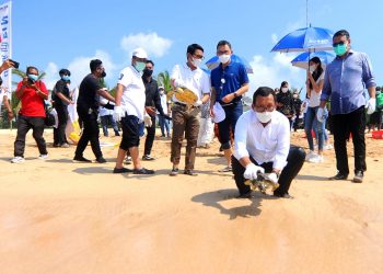 Jaga Kelestarian Alam, BTN Lakukan Konservasi Terumbu Karang dan Pengembangan Tukik