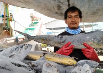 KKP Sederhanakan Regulasi Perikanan Tangkap via Tiga Permen dan Satu Kepmen