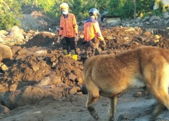 SAR Dog Temukan Satu Jenazah Warga Kupang Usai Badai Seroja