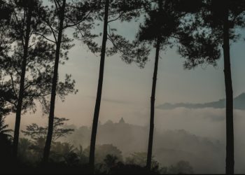 Kawasan TWC Borobudur Ditutup Sementara selama Liburan Lebaran