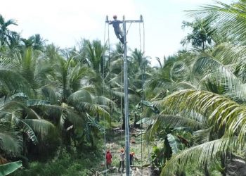 7.723 KK di Kabupaten Tanjung Jabung Barat Kini Bisa Menikmati Listrik