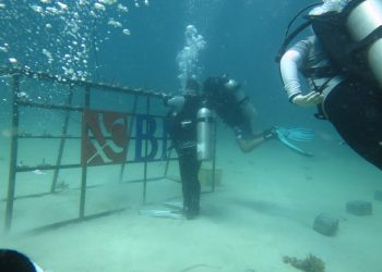 BNI Restorasi Terumbu Karang di Perairan Pantai Pulisan, Minahasa Utara