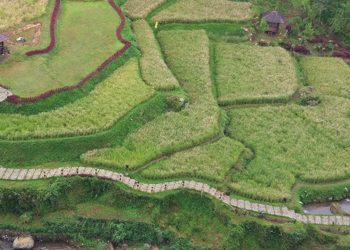 Redam Angka Kemiskinan, BLT Desa Harus Dioptimalkan