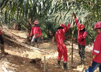 Elnusa Rampungkan Pencarian Cadangan Migas di Kutai Timur, Total Panjang Lintasan 963 KM